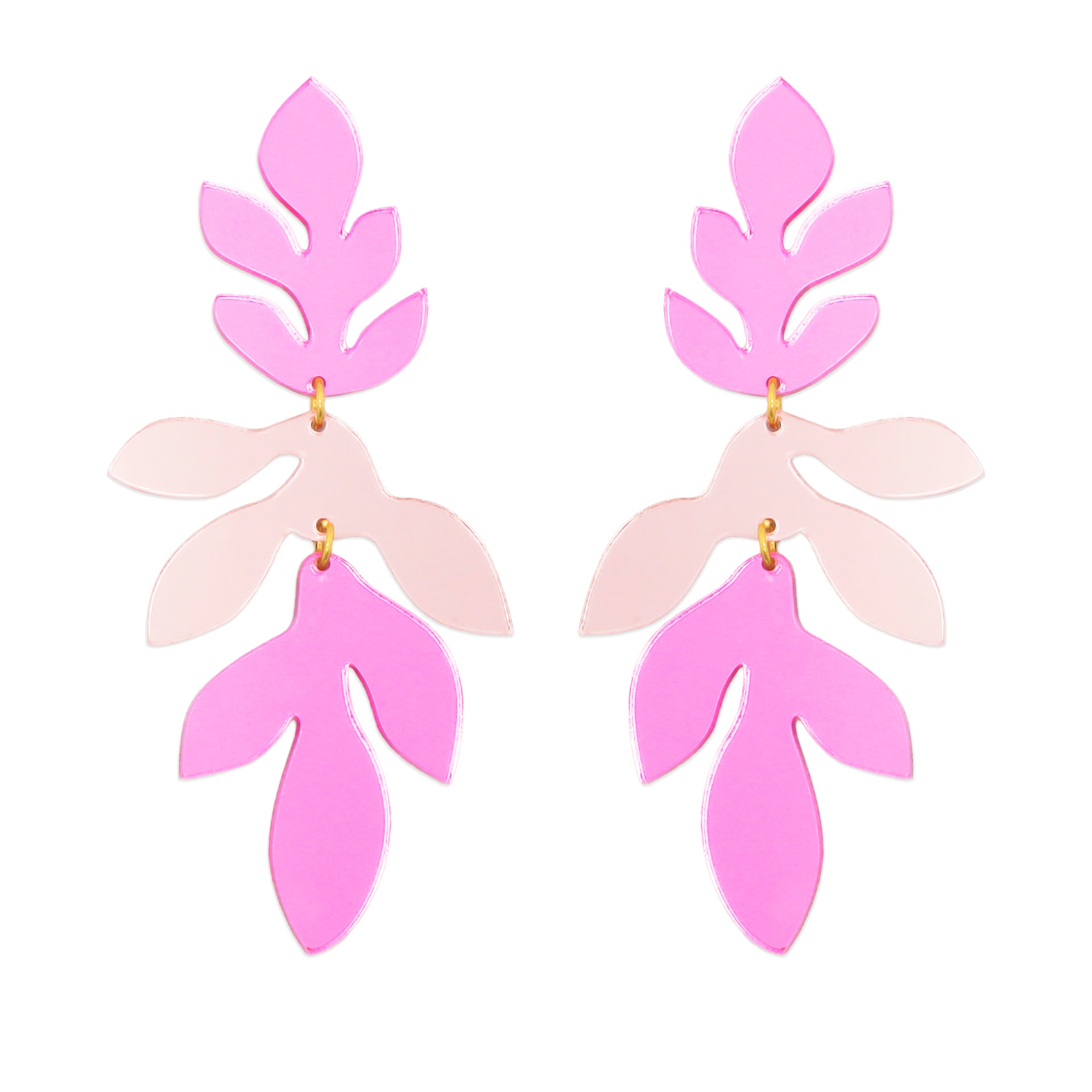 Botanica Rosa