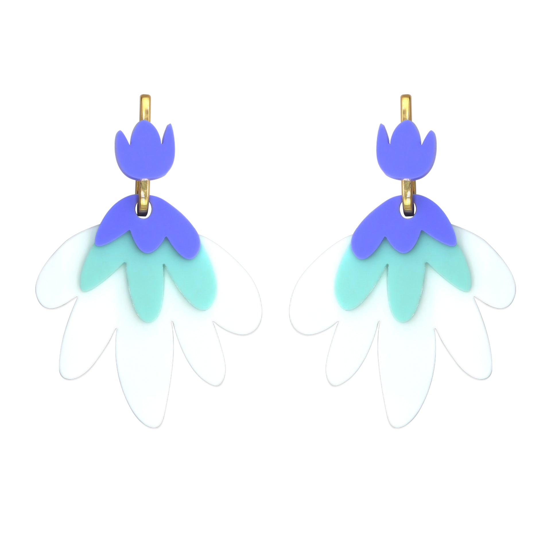 Tulipan Azul